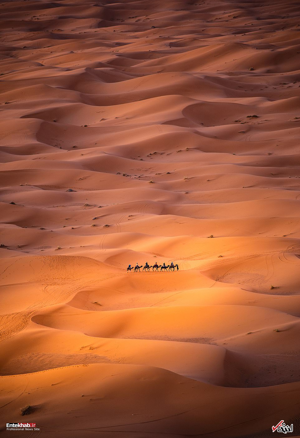 تصاویر