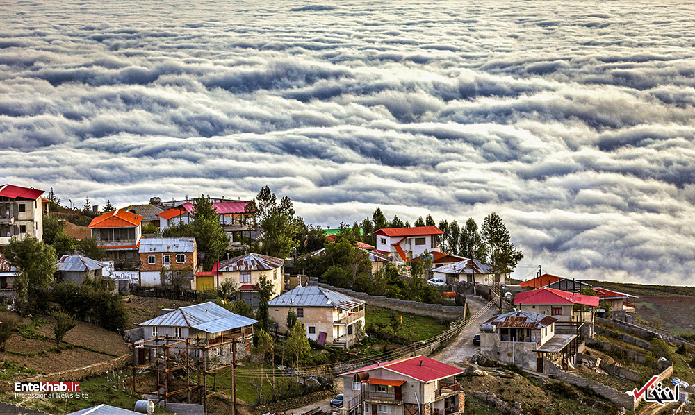 تصاویر روز : تصاویر روز :
