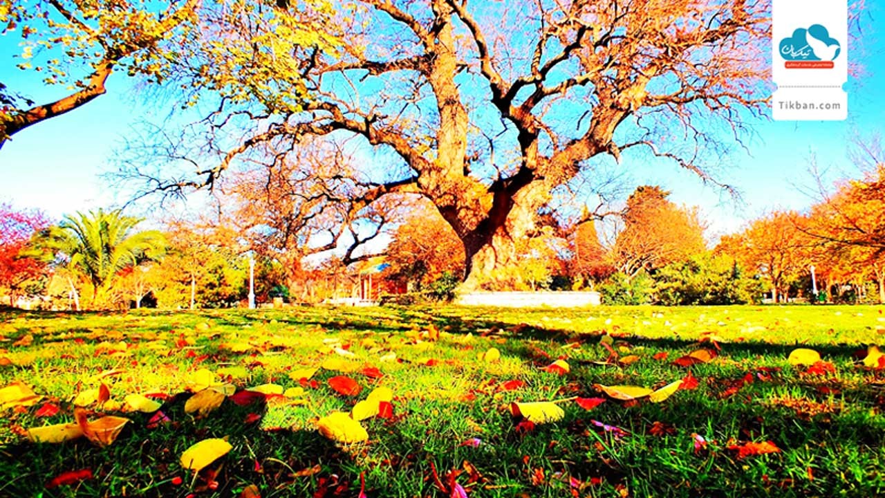 ۵ مقصد بی نظیر خارجی برای سفر در پاییز ۵ مقصد بی نظیر خارجی برای سفر در پاییز