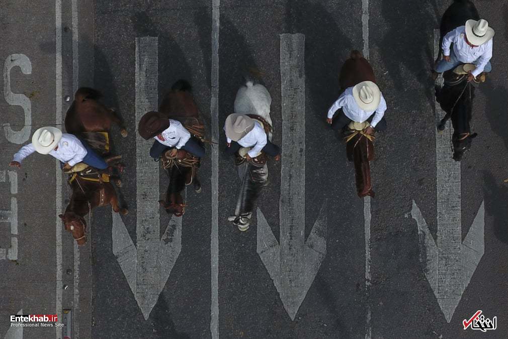 تصاویر