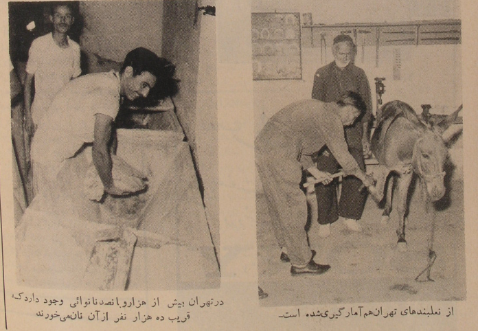 تهران ما ۱ میلیون و ۷۳۹ هزار و ۵۷۸ نفر جمعیت دارد/ در تهران ۲۱ پالاندوز و ۴۳ نعلبند مشغول خدمتاند تهران ما ۱ میلیون و ۷۳۹ هزار و ۵۷۸ نفر جمعیت دارد/ در تهران ۲۱ پالاندوز و ۴۳ نعلبند مشغول خدمتاند