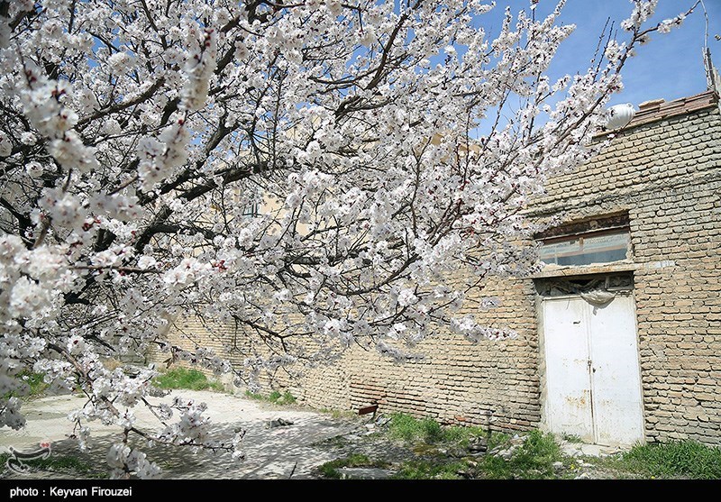 تصاویر: صدای پای بهار