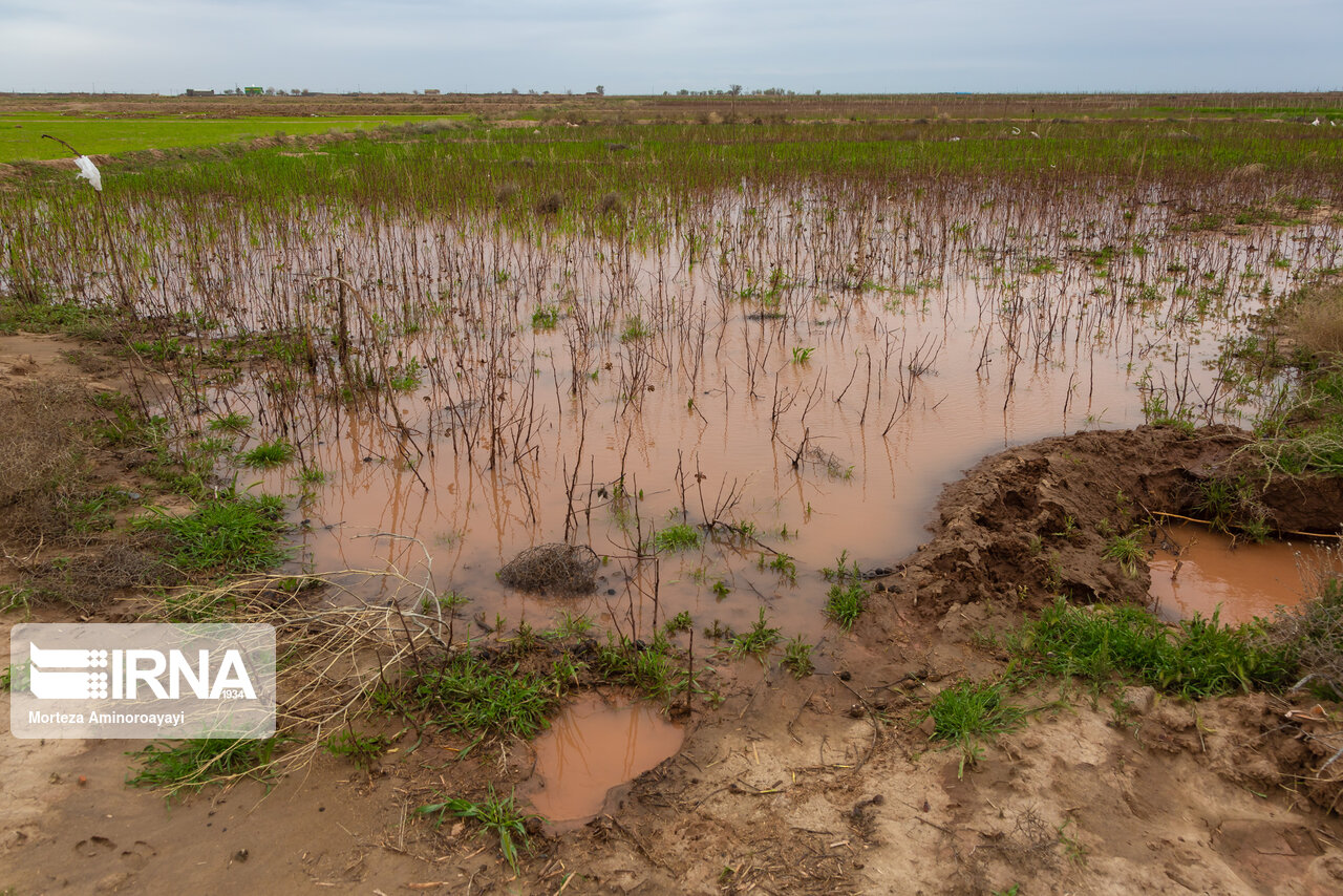 تصاویر: سیل در روستاهای نیشابور