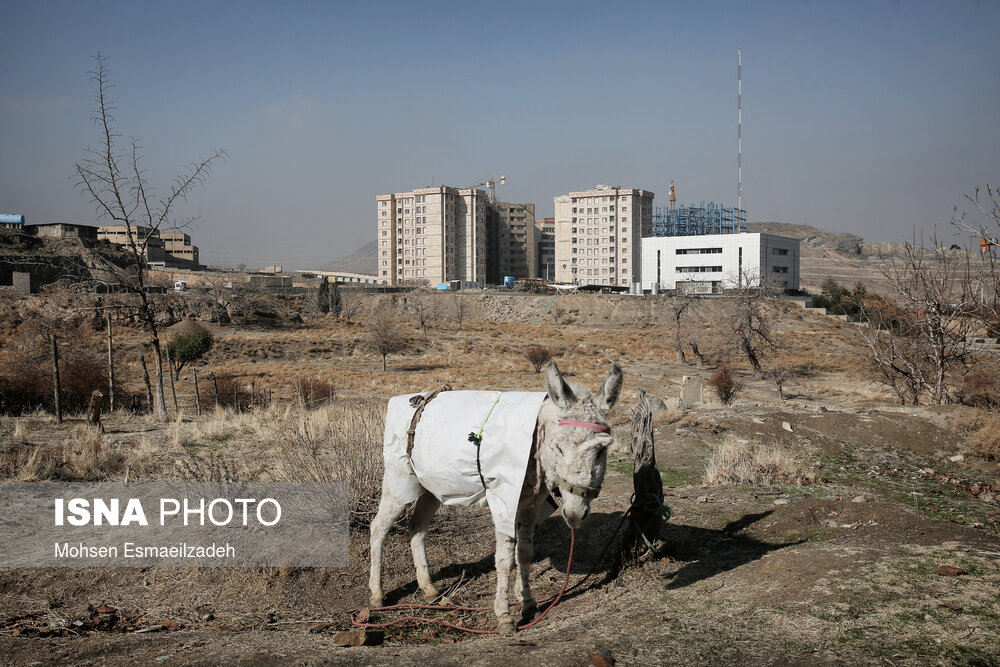 تصاویر: در حاشیه؛ پشت هیچستان