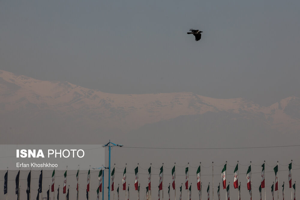 تصاویر: اینجا تهران است...