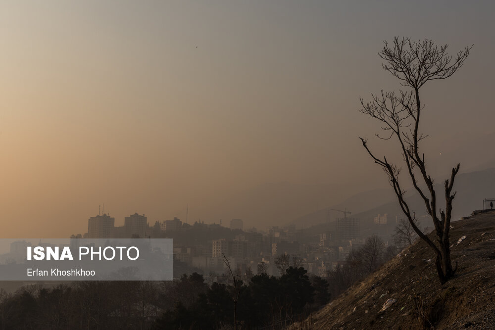 تصاویر: اینجا تهران است...