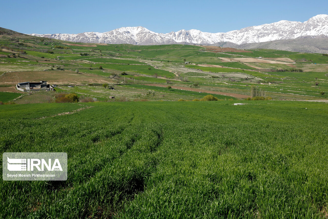 تصاویر: بهار طبیعت در دامنه کوه شاهو&lrm; (کردستان)