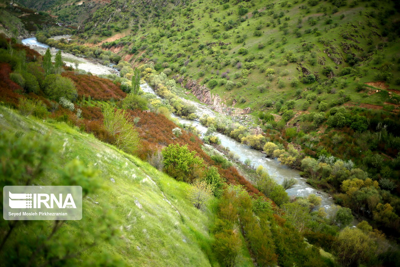 تصاویر: بهار طبیعت در دامنه کوه شاهو&lrm; (کردستان)
