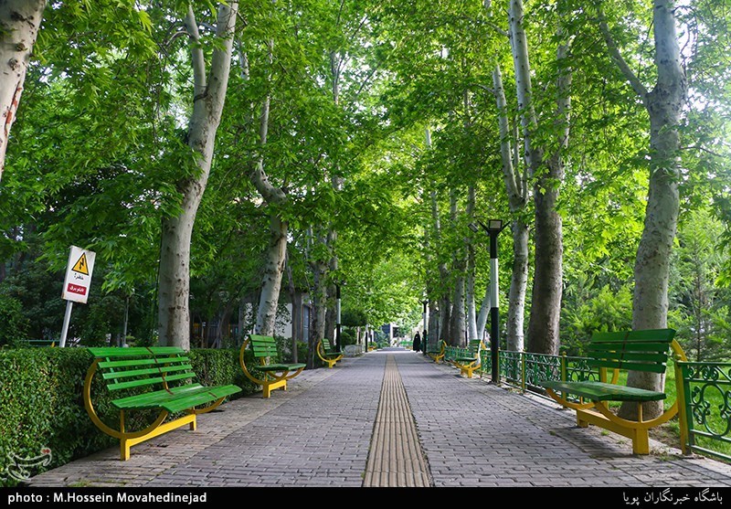 تصاویر: حال و هوای بهاری در تهران