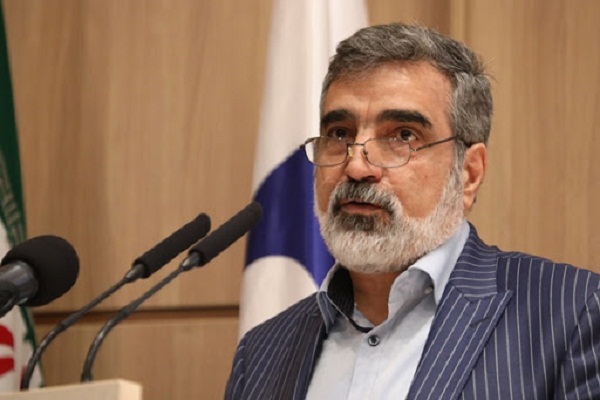 کمالوندی: به زودی دو دستگاه &laquo;ایکس ری&raquo; از آژانس تحویل می گیریم