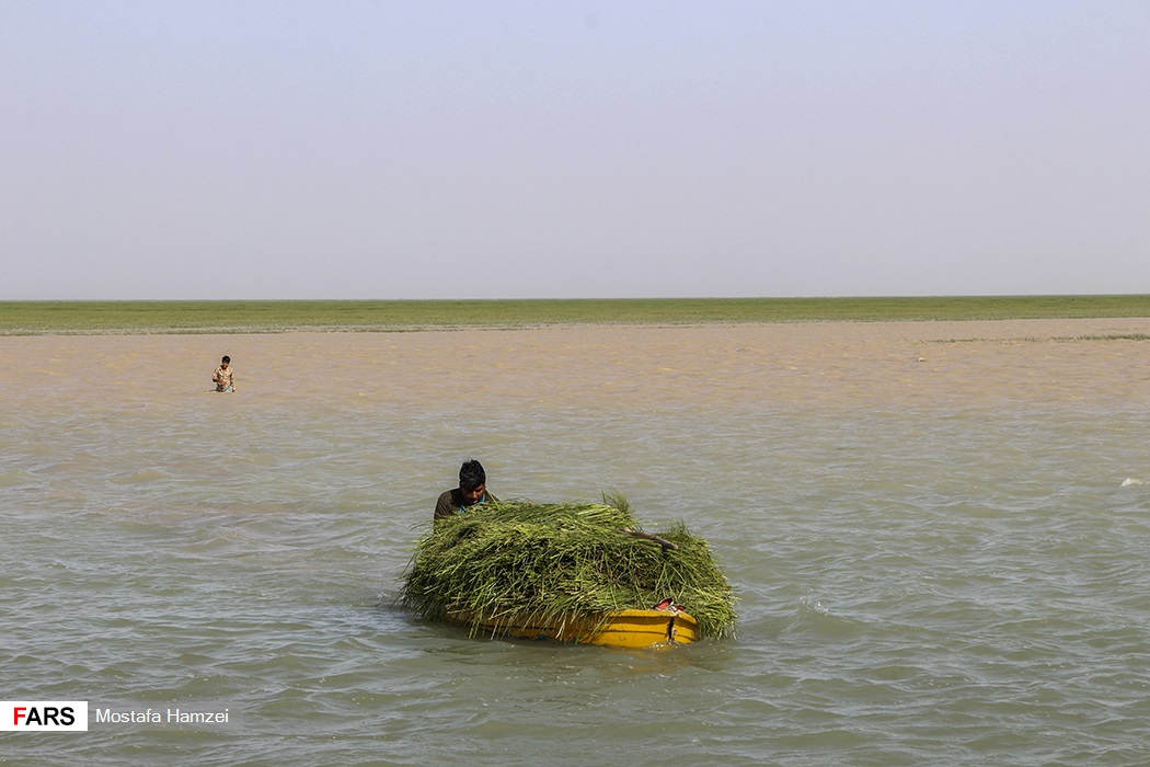تصاویر: حالِ خوبِ &laquo;هامون&raquo;