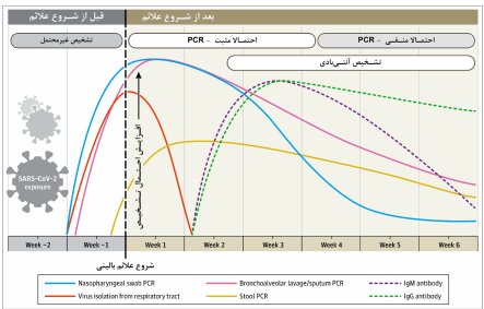 کمیته اپیدمیولوژی کرونا: روند ثبات کرونا در کشور / شروع پیک بیماری در هشت استان