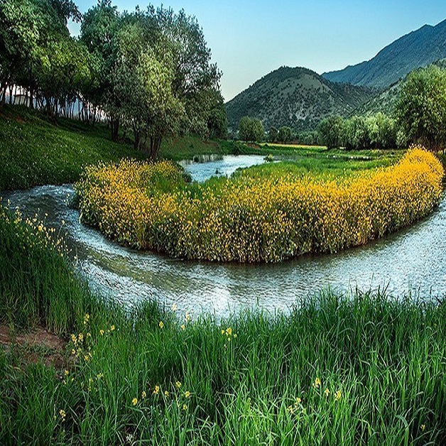 تصاویر: طبیعت بهاری روستای هنام - لرستان
