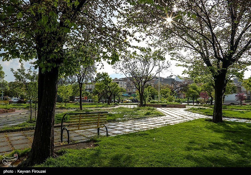 پس از باران - سنندج