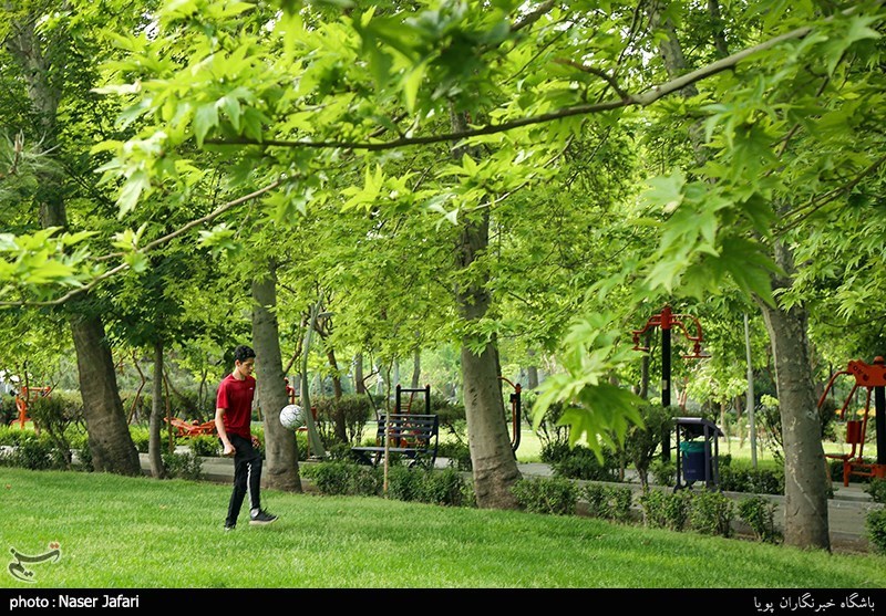 تصاویر: بازگشایی بوستانها و پارک ها