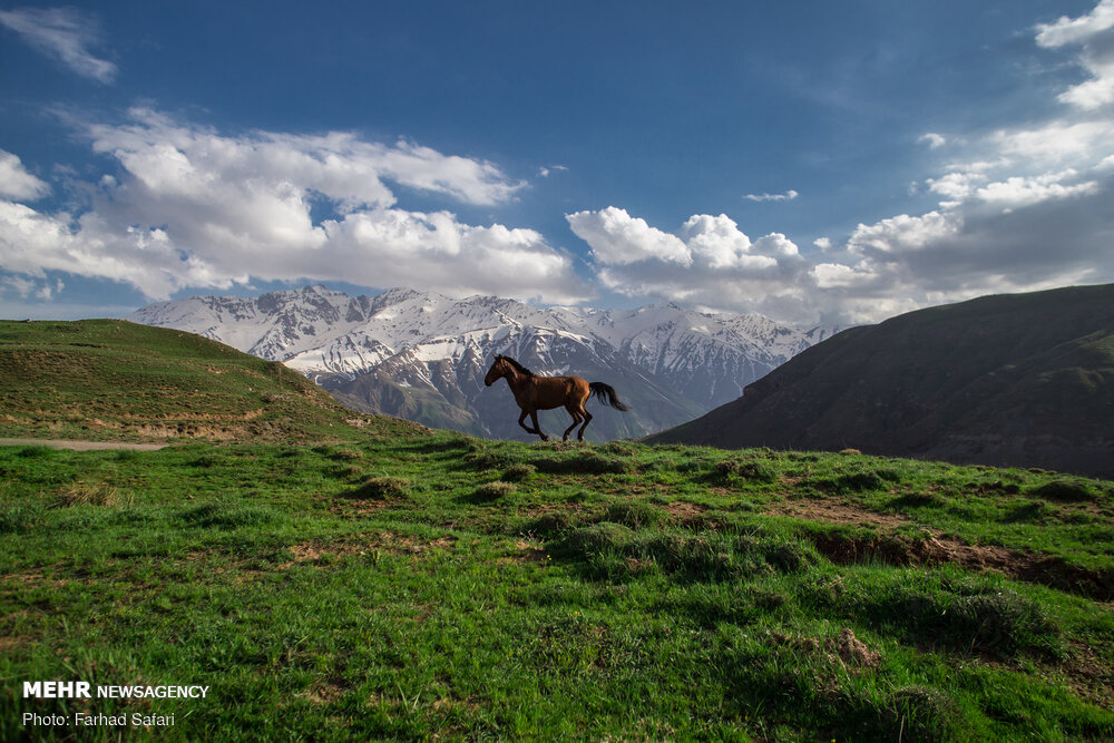 تصاویر: طبیعت الموت