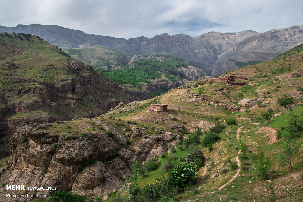تصاویر: طبیعت الموت