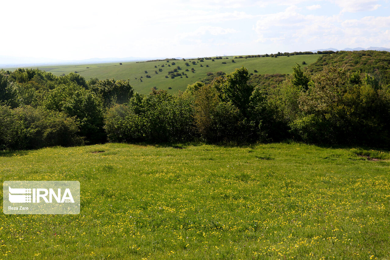 تصاویر: طیبیعت بهاری دامنه های سبلان