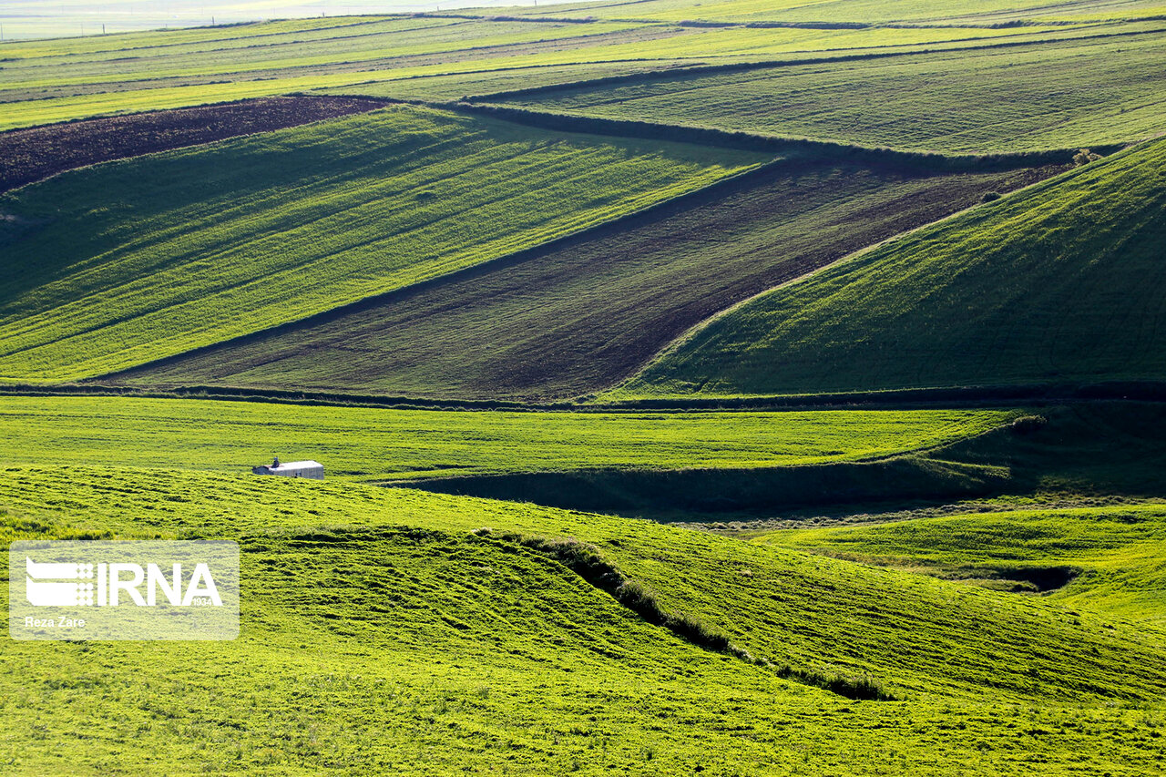 تصاویر: طیبیعت بهاری دامنه های سبلان