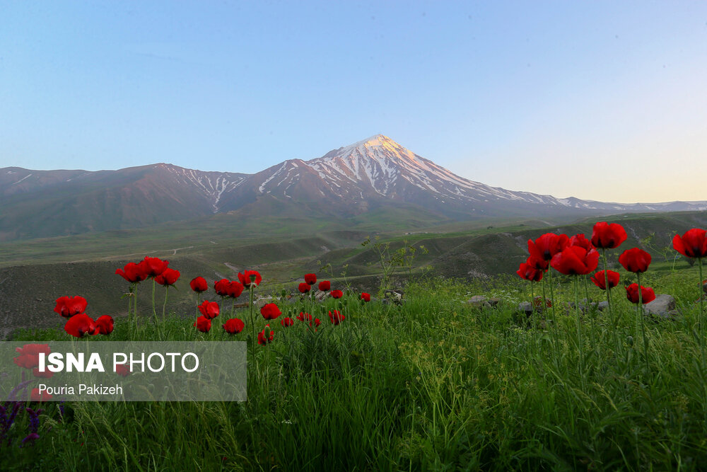 تصاویر: ایران زیباست؛ &laquo;دشت لار&raquo;