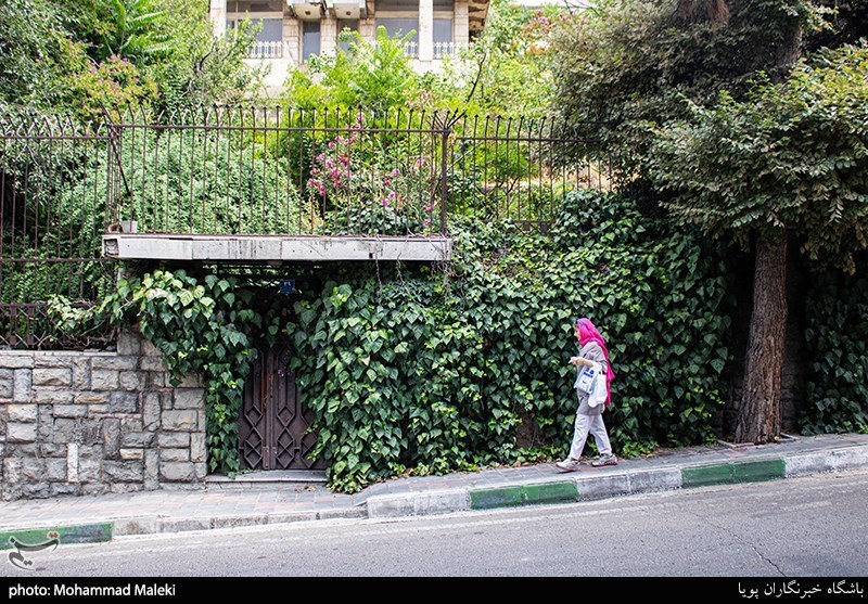تصاویر: گذری در شهر- قیطریه