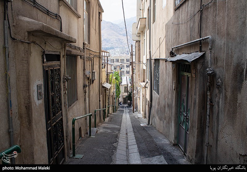 تصاویر: گذری در شهر- قیطریه