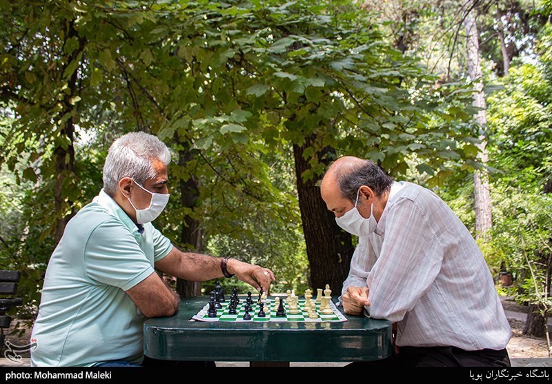 تصاویر: گذری در شهر- قیطریه