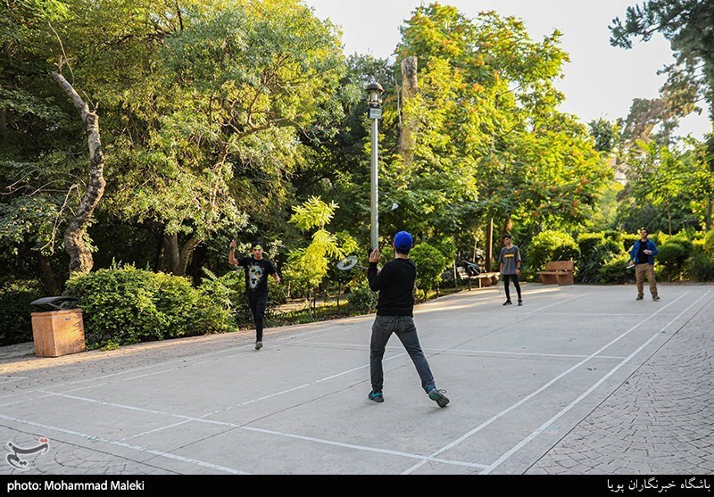 تصاویر: گذری در شهر- قیطریه