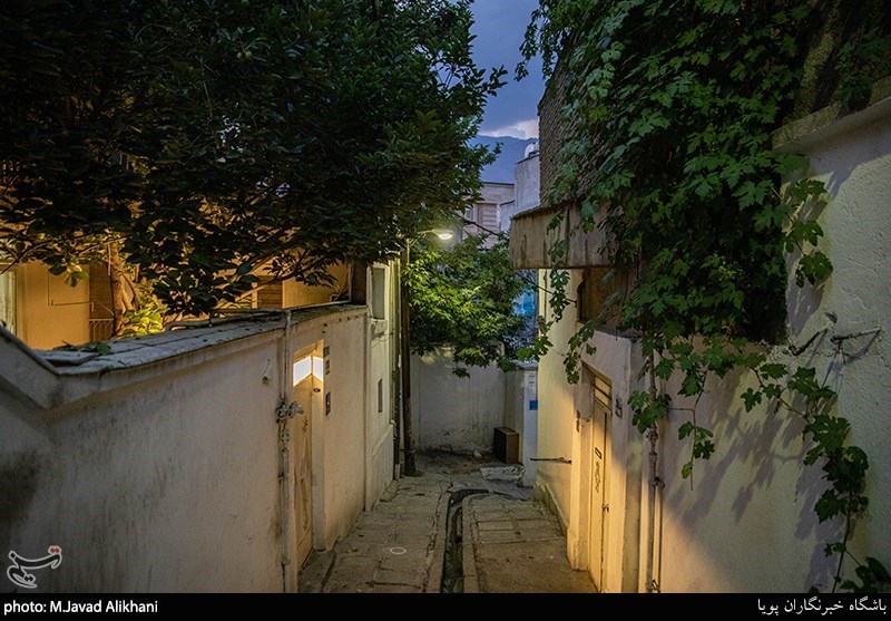 تصاویر: گذری در شهر- قیطریه