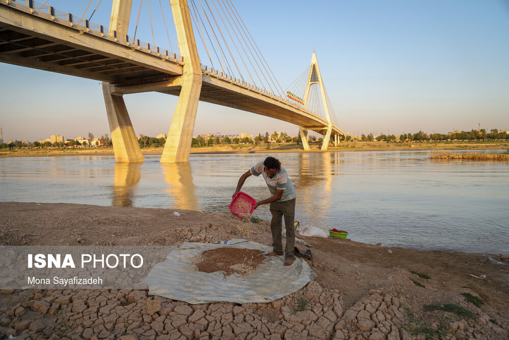 تصاویر: کارون بی&zwnj;جان