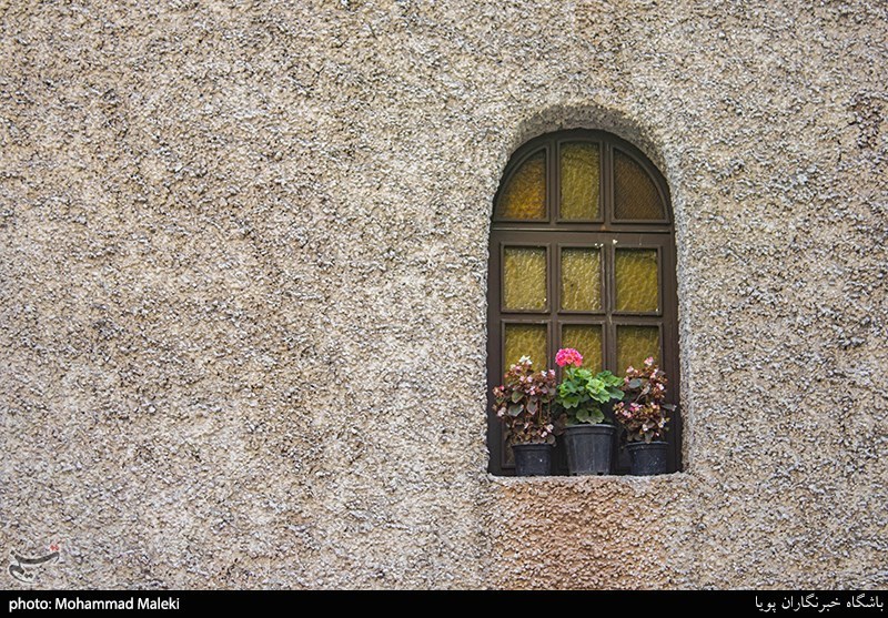 تصاویر: سهم ما از زیبایی شهر
