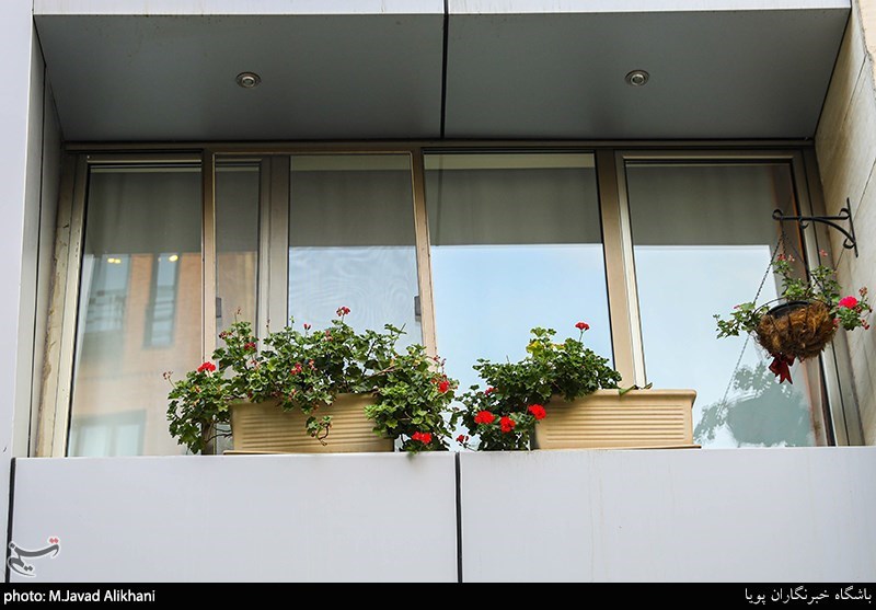 تصاویر: سهم ما از زیبایی شهر