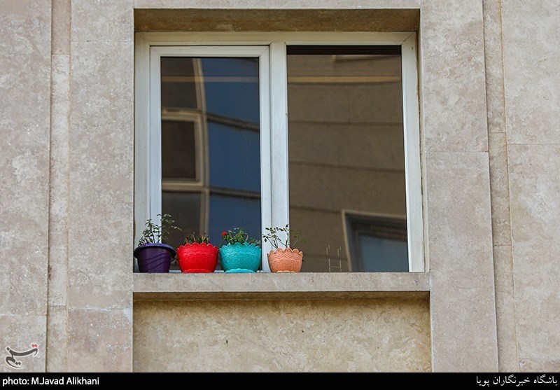 تصاویر: سهم ما از زیبایی شهر