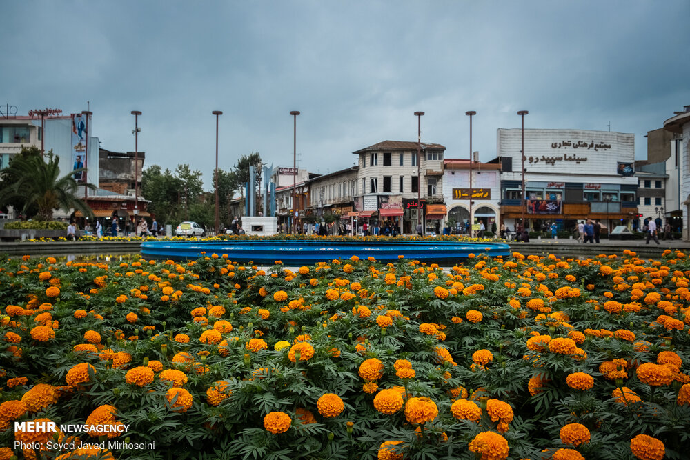 تصاویر: بارش باران تابستانی در رشت