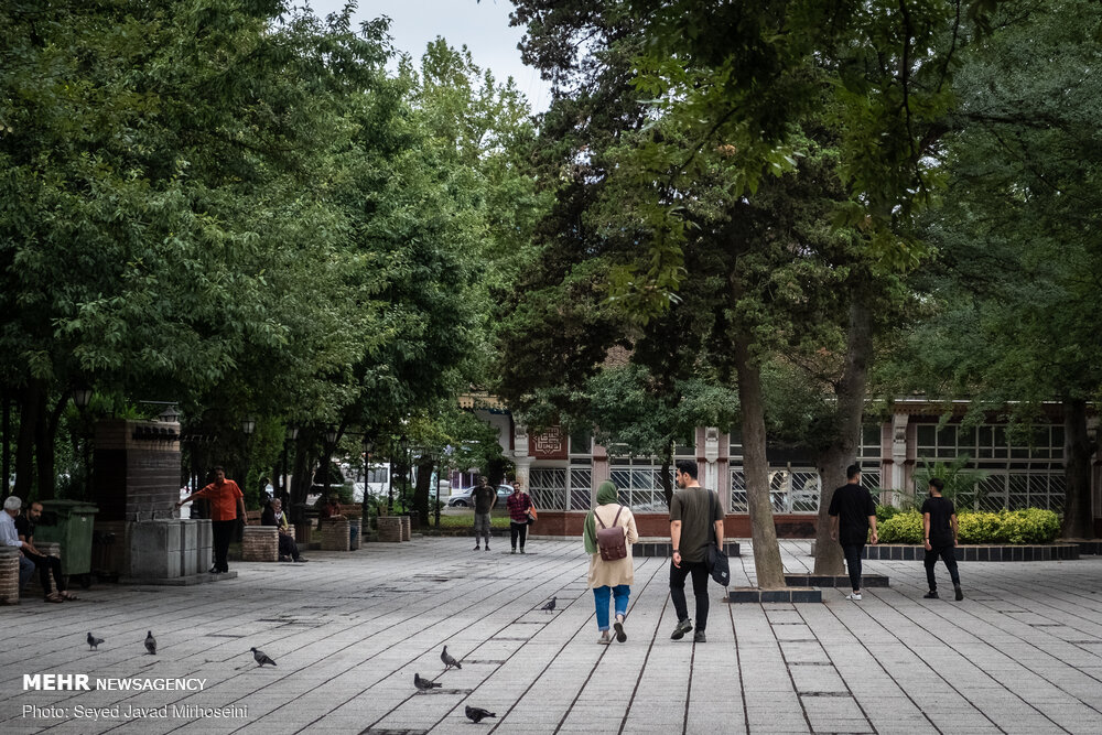 تصاویر: بارش باران تابستانی در رشت
