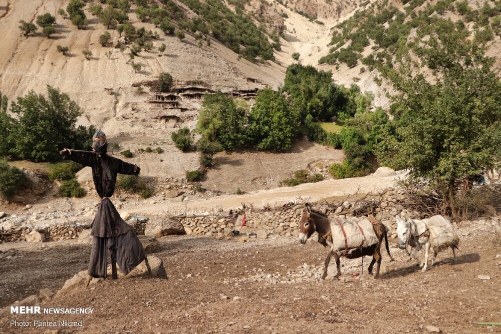 تصاویر: آن سوی رود