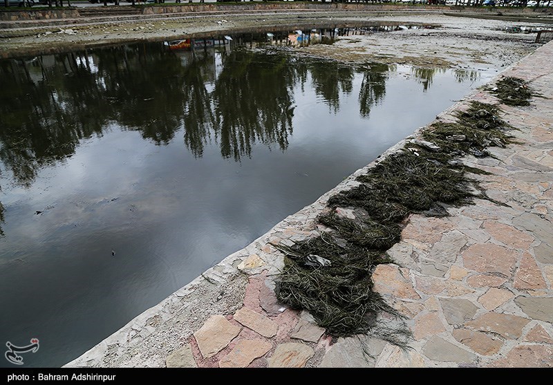 تصاویر: بحران محیط زیستی بالیخلی چای در اردبیل
