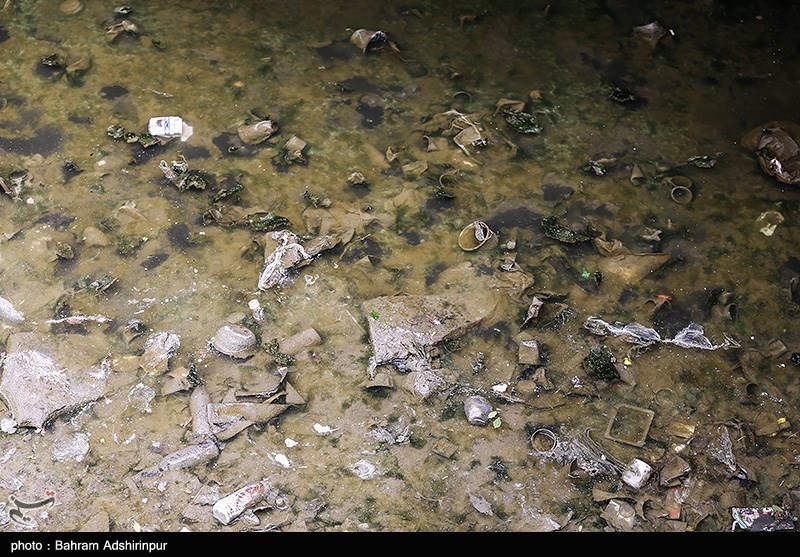 تصاویر: بحران محیط زیستی بالیخلی چای در اردبیل