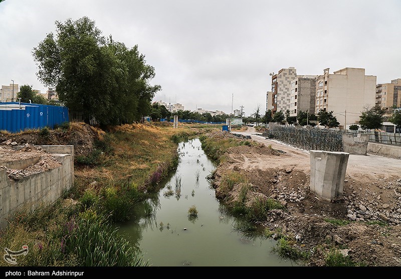 تصاویر: بحران محیط زیستی بالیخلی چای در اردبیل