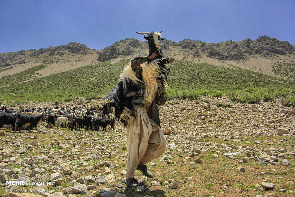 تصاویر: کوچ عشایر؛ سختی ها و زیبایی ها
