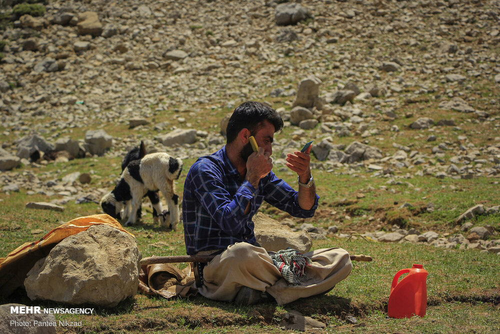 تصاویر: کوچ عشایر؛ سختی ها و زیبایی ها