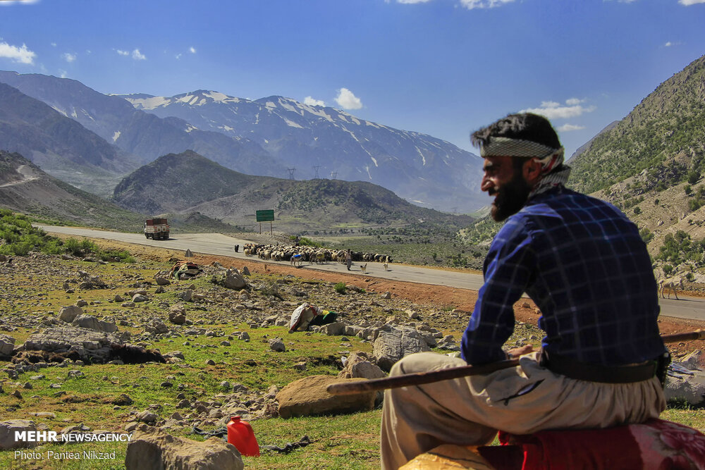 تصاویر: کوچ عشایر؛ سختی ها و زیبایی ها