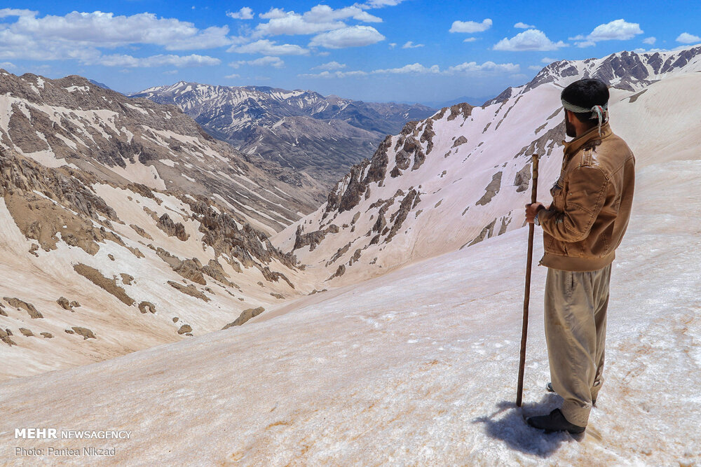 تصاویر: کوچ عشایر؛ سختی ها و زیبایی ها
