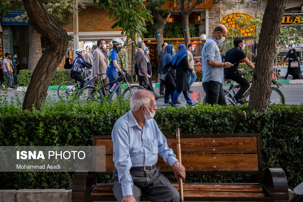 تصاویر: روز جهانی بدون خودرو - اراک