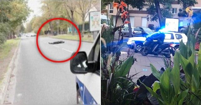 معلم فرانسوی که کاریکاتورهایی از پیامبر اسلام را در کلاس درس نشان داده بود سر بریده شد