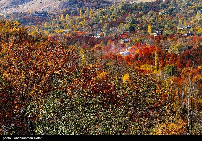 تصاویر: طبیعت پاییزی روستای سیلوار همدان