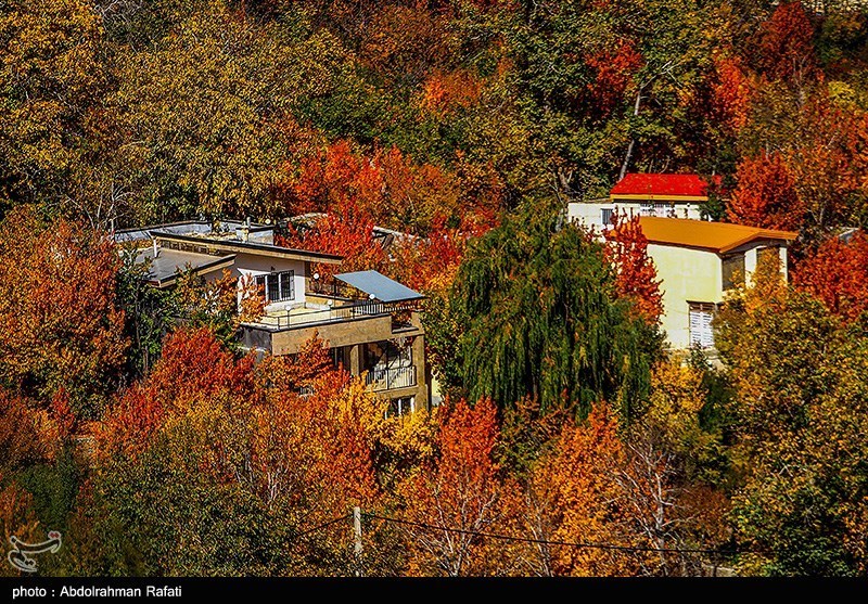 تصاویر: طبیعت پاییزی روستای سیلوار همدان