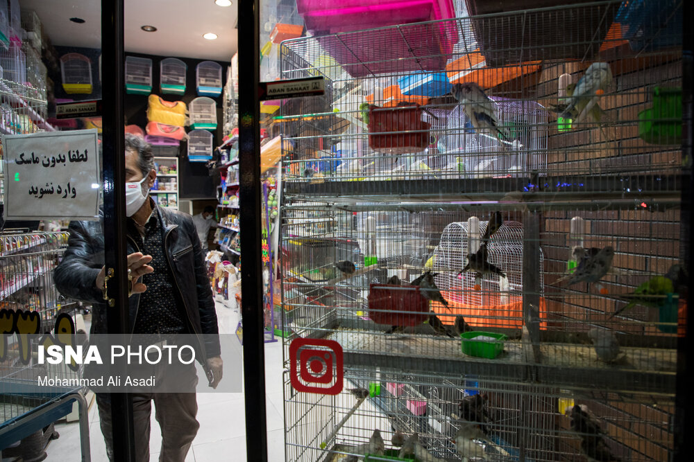 تصاویر:&zwnj; تهران ساعت ۱۸