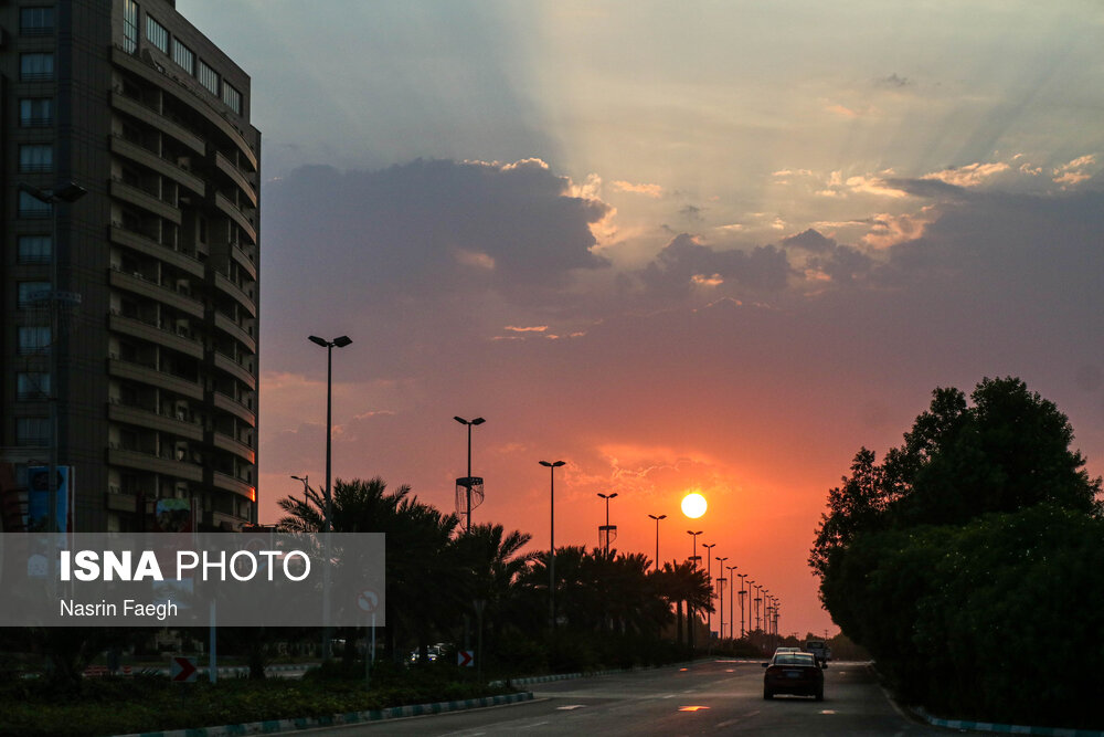 تصاویر: روز 