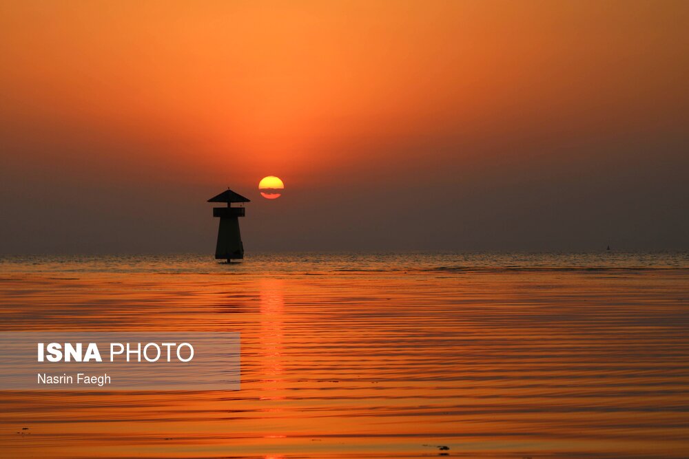 تصاویر: روز 